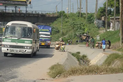 DSC_7556 (Large).JPG